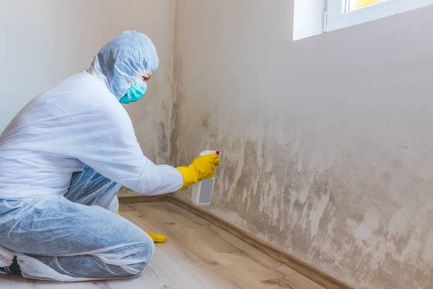 Bathroom Mold Removal assessment in Haw River bathroom