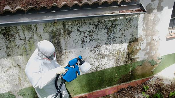 Mold Removal service in Haw River
